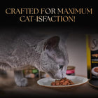 Sheba Duo Adult Crunchy Cat Treats - Tuna & Chicken, Salmon & Tuna, Chicken & Salmon - 135g