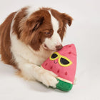 FOFOS Summer Plush Dog Toy - Watermelon