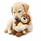 FOFOS Tough Plush Dog Toy - Bear