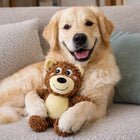 FOFOS Tough Plush Dog Toy - Bear