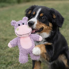 FOFOS Tough Hippo Plush Dog Toy
