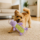 FOFOS Hippo Rope Tug Dog Toy