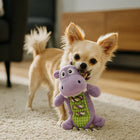 FOFOS Hippo Rope Tug Dog Toy