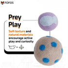 FOFOS Sardine Wool Cat Toy - 2 Balls & 1 Fish - 3 Pack