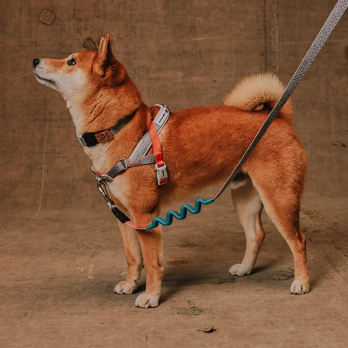 Zee Dog Reebok Suede Softer Harnesses