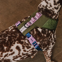 Zee Dog Reebok Trekk Air Mesh Harness