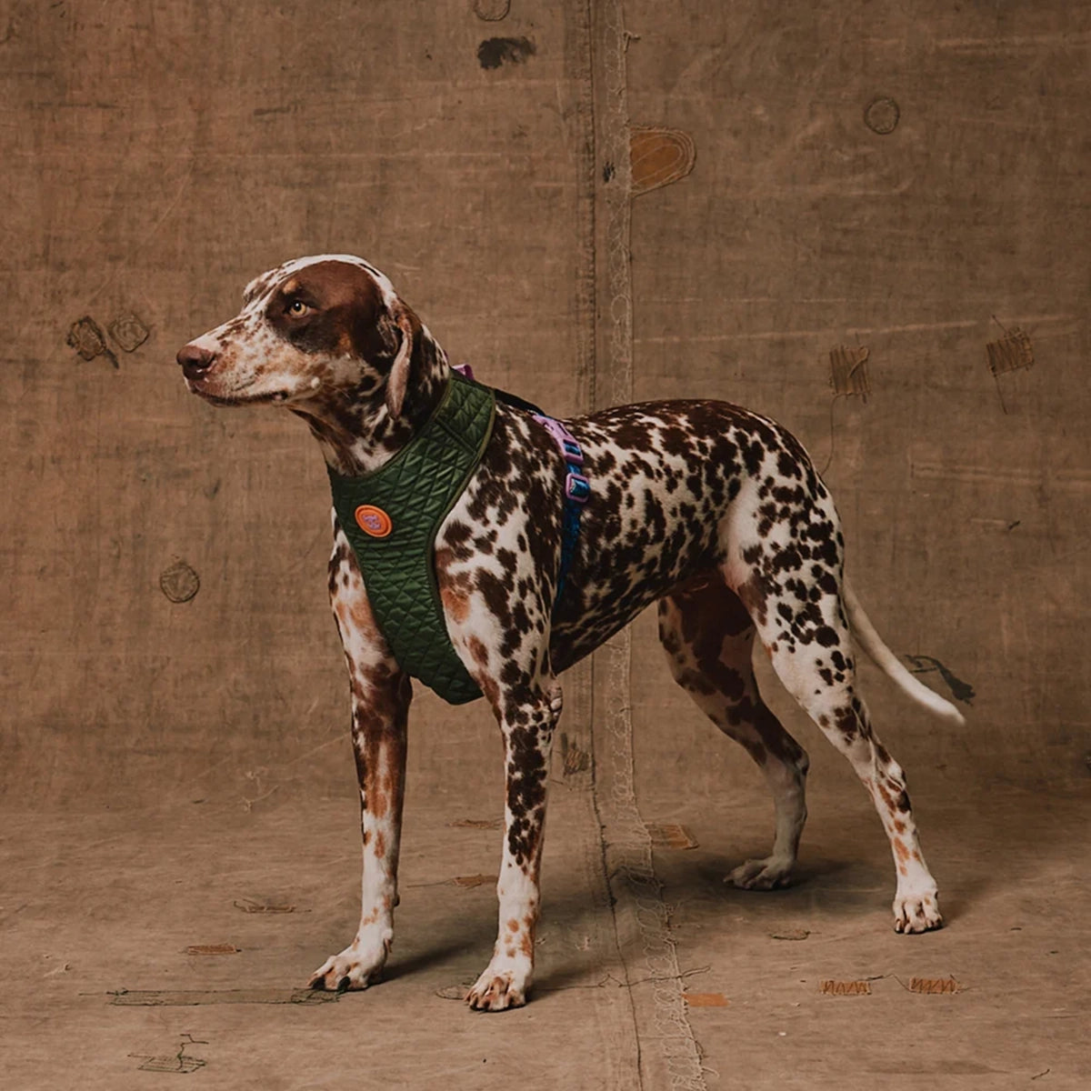 Zee Dog Reebok Trekk Air Mesh Harness
