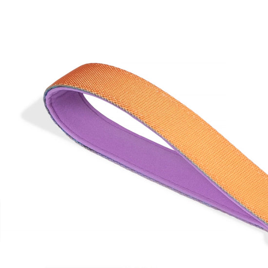 Zee Dog Reebok Trekk Ruff Dog Leash