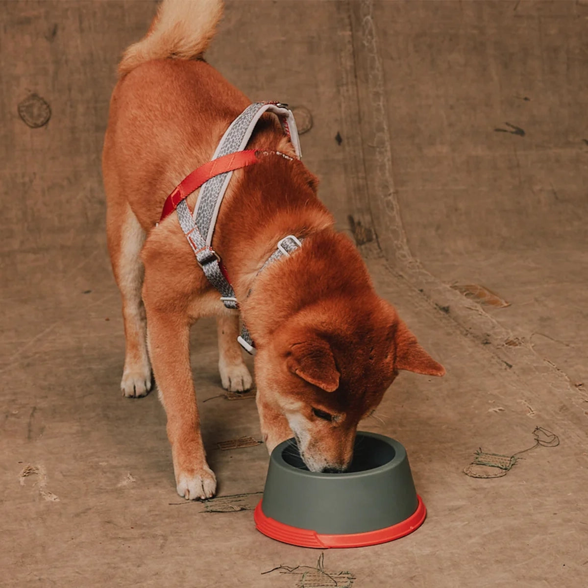 Zee Dog Reebok Suede Melamine Bowl - Small