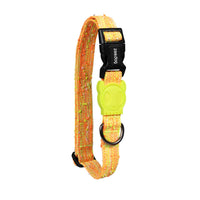 Zee Dog BIKR Dog Collar
