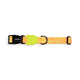 Zee Dog BIKR Dog Collar