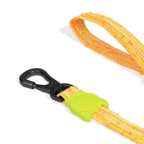 Zee Dog BIKR Dog Leash