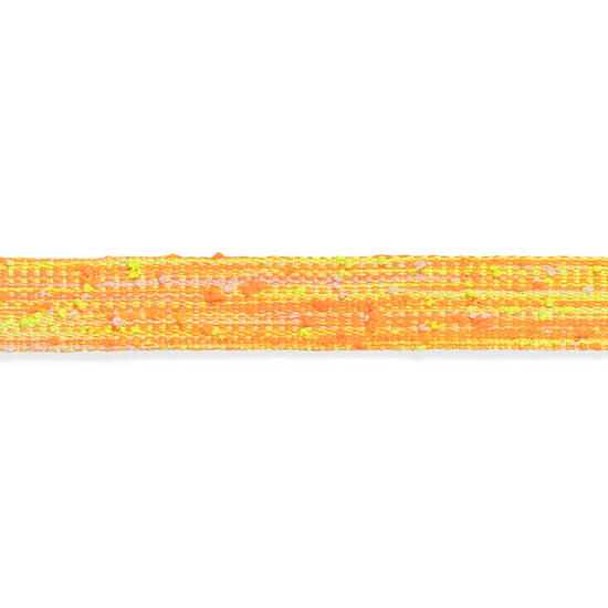 Zee Dog BIKR Dog Leash