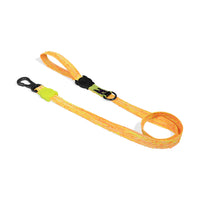 Zee Dog BIKR Dog Leash