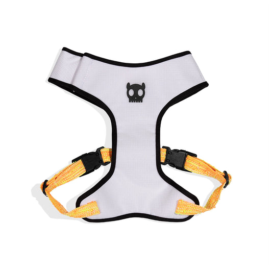Zee Dog BIKR Air Mesh Harness