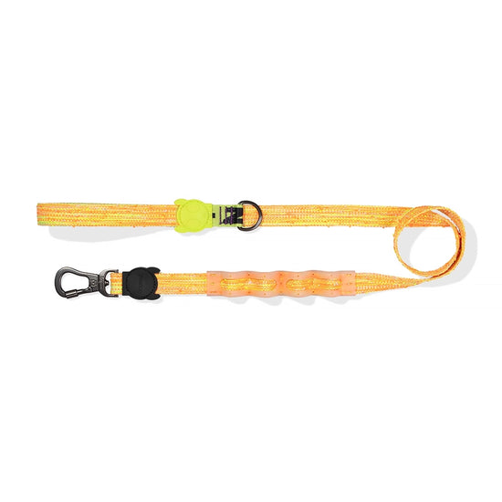 Zee Dog BIKR Ruff Dog Leash