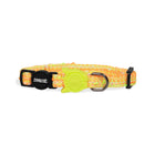 Zee Cat BIKR Cat Collar