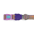 Zee Dog UFO Dog Collar