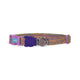 Zee Dog UFO Dog Collar