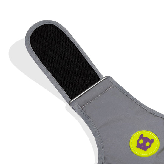 Zee Dog UFO Air Mesh Harness