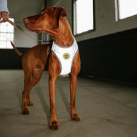 Zee Dog UFO Air Mesh Harness
