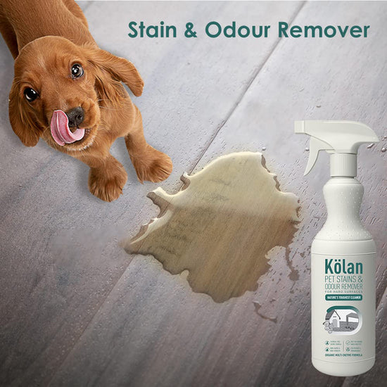 kolan-pet-stains-odour-remover-hard-surface-700ml