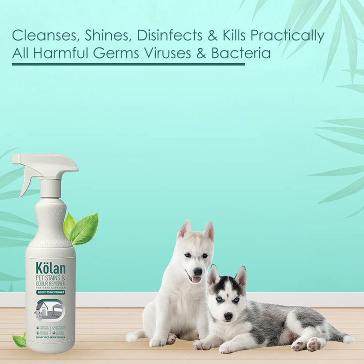 Kolan Pet Stains & Odour Remover Hard Surface – 700ml
