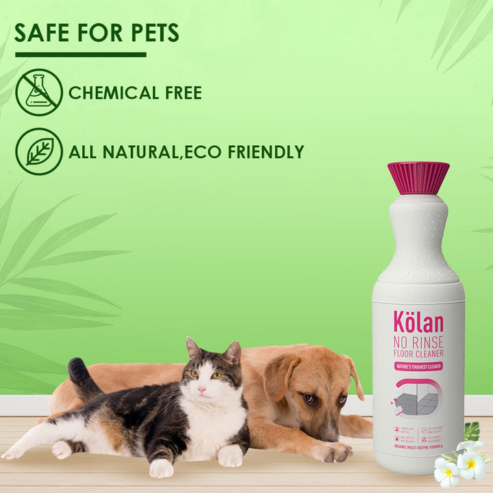 Kolan No Rinse Floor Cleaner – 700ml