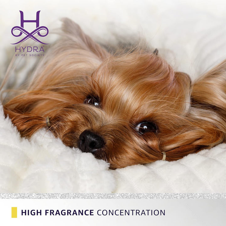 Hydra Groomers Forever Candy Cologne - 130ml