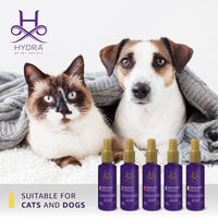 Hydra Groomers Forever Candy Cologne - 130ml