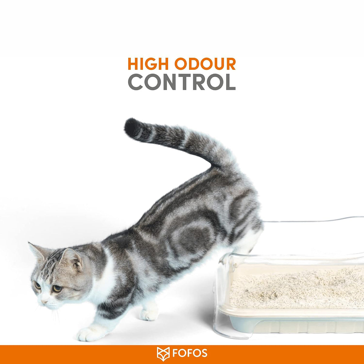 FOFOS Tofu & Crushed Bentonite Cat Litter – 6L