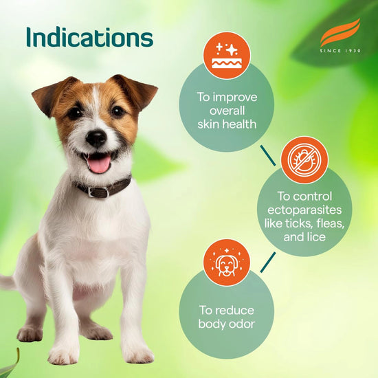 Himalaya Erina-EP Powder for Tick & Flea Control for Dogs & Cats -  150g