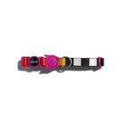Zee Dog Prisma Cat Collar - Zigly