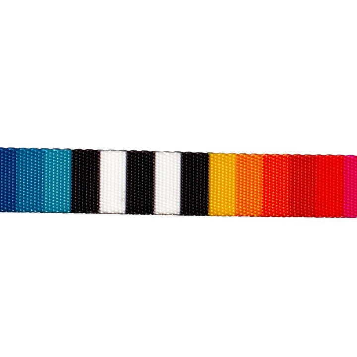 Zee Dog Prisma Cat Collar
