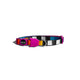 Zee Dog Prisma Cat Collar