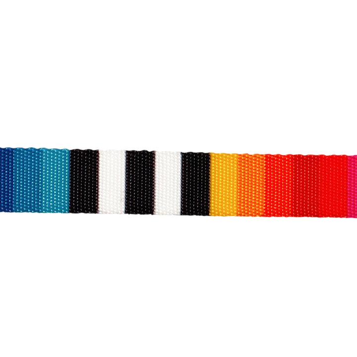 Zee Dog Prisma Dog Leash