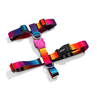 Zee Dog Prisma Dog H-Harness