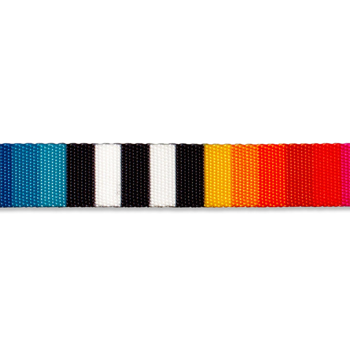 Zee Dog Prisma Dog H-Harness