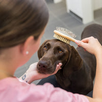Trixie Brush Double-Sided Bamboo/Natural & Wire Bristles