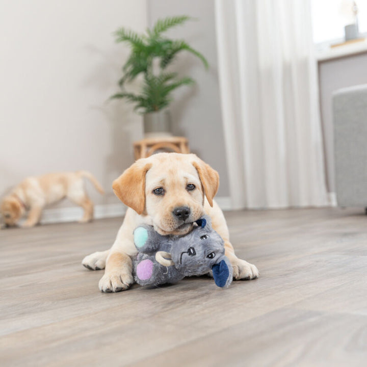 Trixie Junior Dog With Rope Plush Toy - 24cm