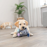 Trixie Junior Dog With Rope Plush Toy - 24cm