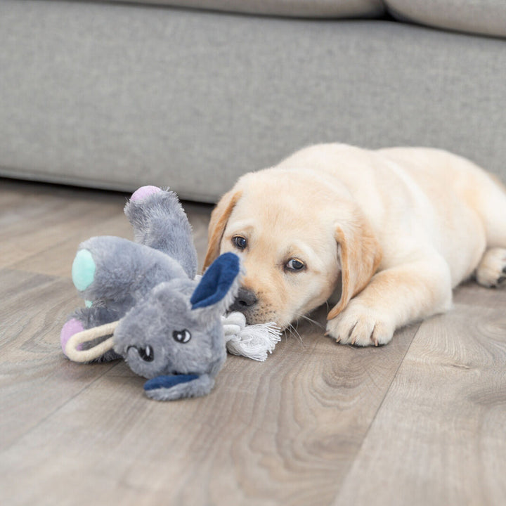 Trixie Junior Dog With Rope Plush Toy - 24cm
