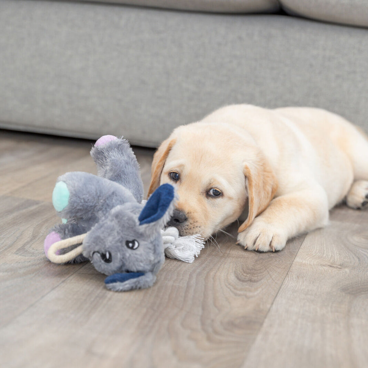 Trixie Junior Dog With Rope Plush Toy - 24cm