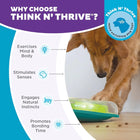 Outward Hound Wobble Bowl Interactive Treat Puzzle Dog Toy - 29X29cm