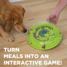 Outward Hound Wobble Bowl Interactive Treat Puzzle Dog Toy - 29X29cm