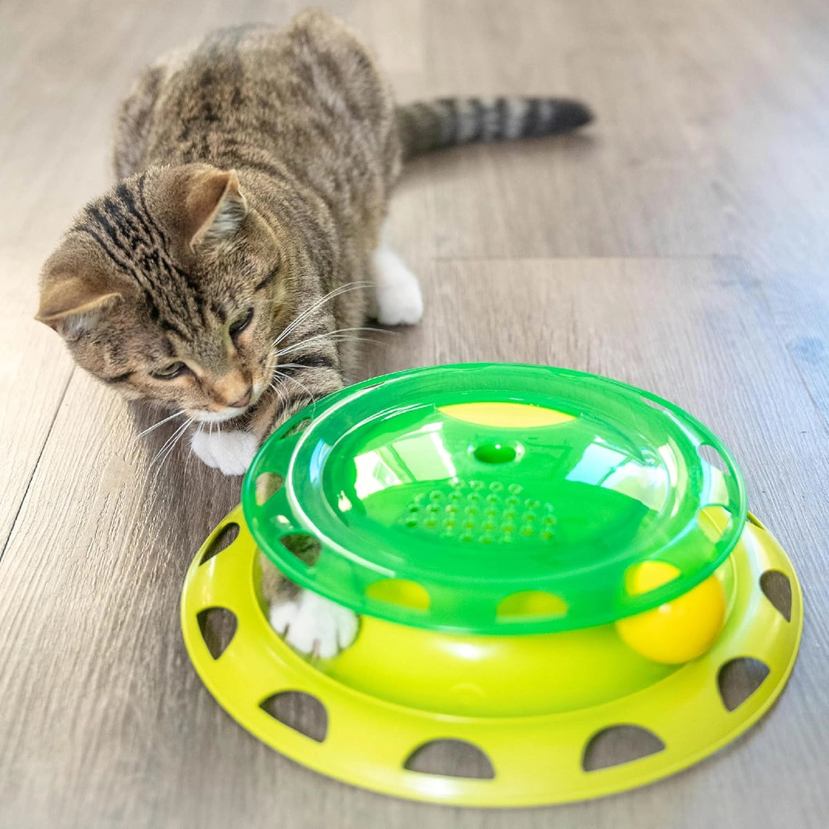 Petstages Catnip Chaser Independent Cat Interactive Toy