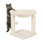 Gray cat standing next to cream-colored fluffy cat tree with scratching posts and hanging ball toy zigly
