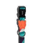 Zee Dog Ella Dog Collar - Zigly