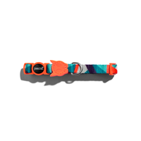 Zee Dog Ella Cat Collar