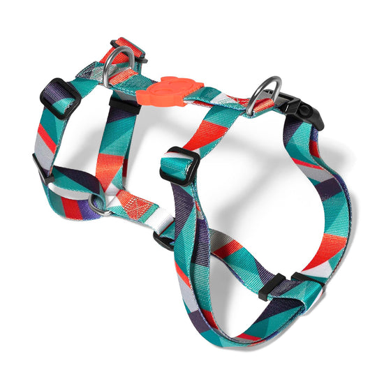 zee-dog-ella-dog-h-harness